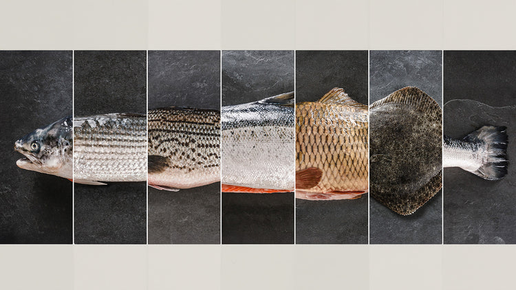 Bulk Case Seafood in Southern California