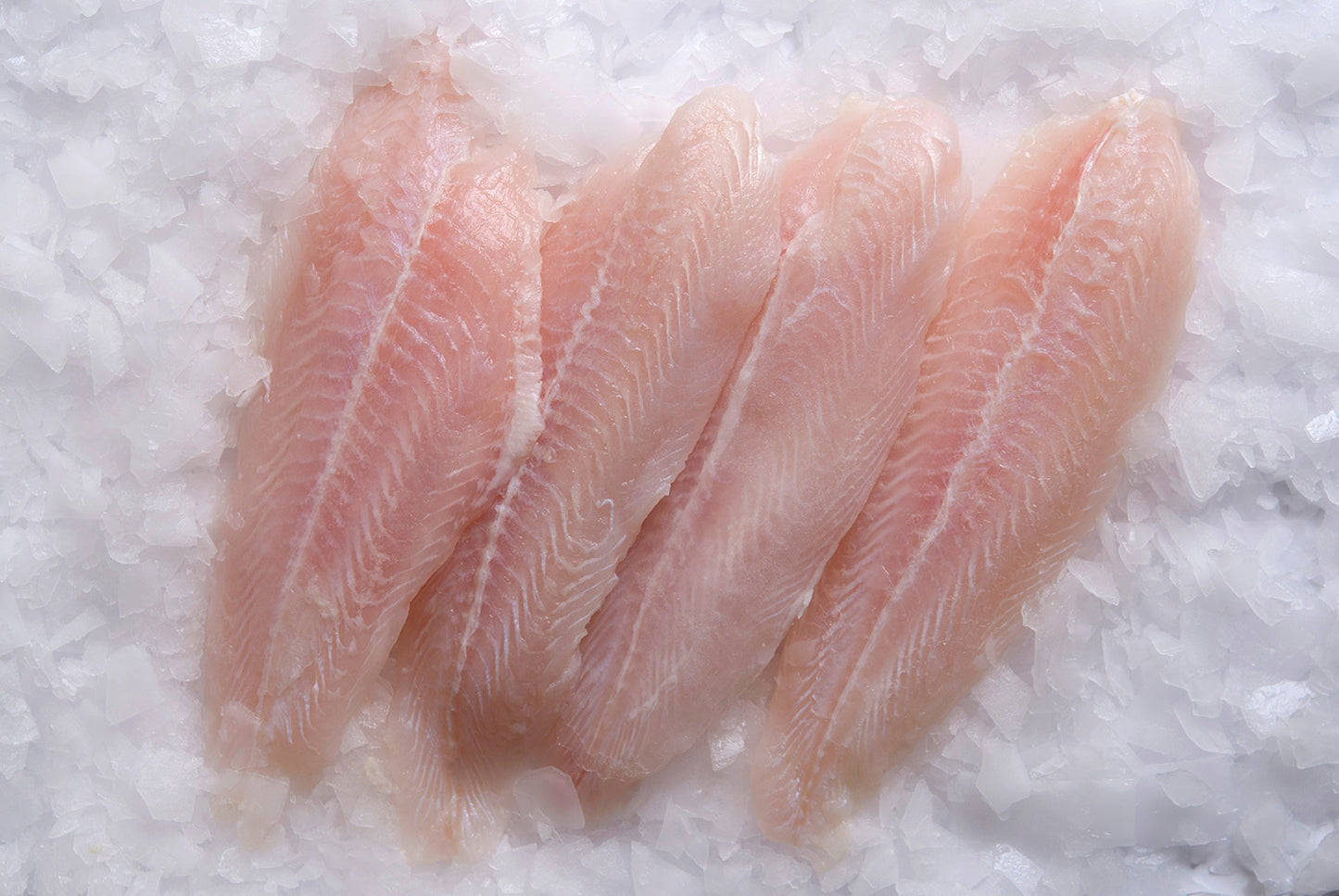 Fresh Icelandic Lemon Sole, Wild-Caught, Line-Caught