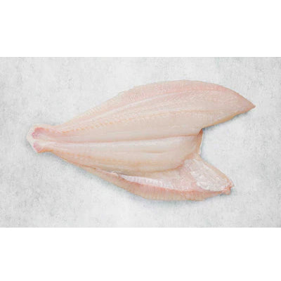 Fresh Icelandic Plaice, Wild-Caught, Line-Caught