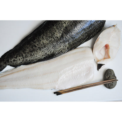 Fresh Icelandic Wolffish, Wild-Caught, Line-Caught